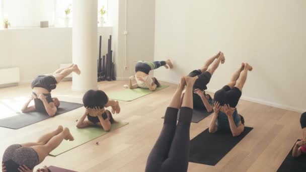 Gruppe von Leuten, die Yoga-Asanas im Studio machen