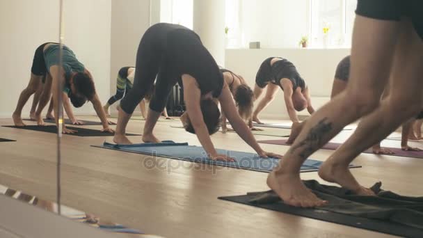 Bir grup insan yoga asanas Studio yapıyor — Stok video