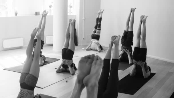 Gruppe von Leuten, die Yoga-Asanas im Studio machen — Stockvideo