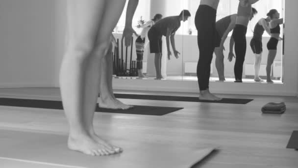 Bir grup insan yoga asanas Studio yapıyor — Stok video