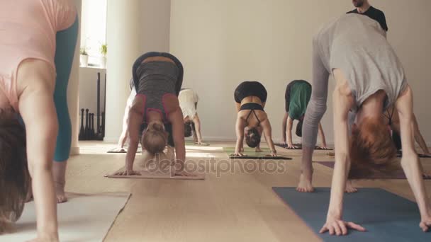 Várias pessoas estudando ioga no estúdio — Vídeo de Stock
