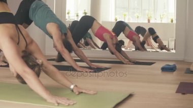 Bir grup insan yoga asanas Studio yapıyor