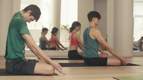 Несколько человек изучают йогу в студии — стоковое видео