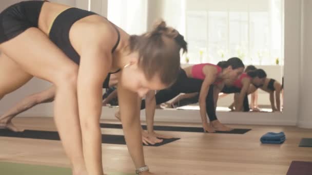 Bir grup insan yoga asanas Studio yapıyor — Stok video