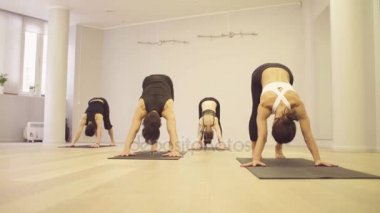 Yoga sınıfı. İnsanlar yoga egzersizleri yapıyor
