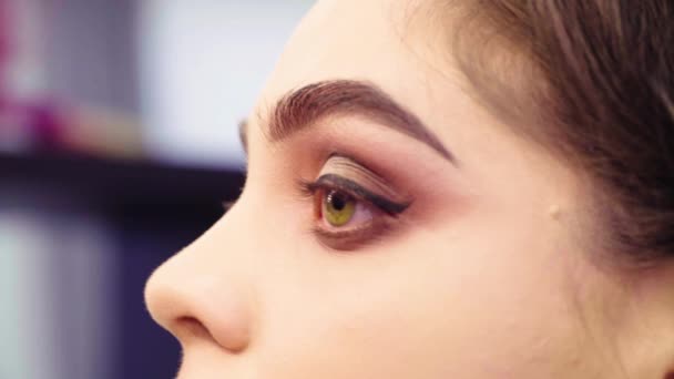Maquiagem artista pintando delineador preto nos olhos — Vídeo de Stock