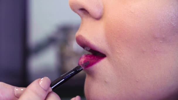 Visagistin trägt rosa Lipgloss auf die Lippen auf — Stockvideo