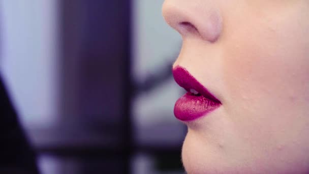 Maquillaje artista aplicando brillo de labios rosa en los labios — Vídeo de stock