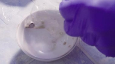 Bilim adamları el inorganik artıkları yıkama