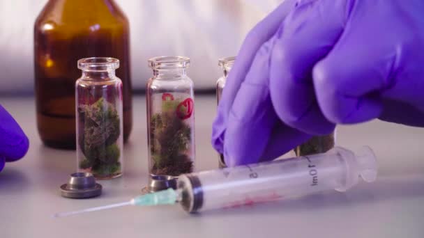 The scientists hands pouring solvent into the bottles — Stock Video