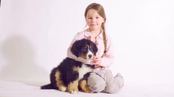 Dívka a štěně Bernský pastevecký pes — Stock video