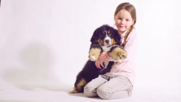 Girl and puppy of a bernese shepherd dog — Stock Video