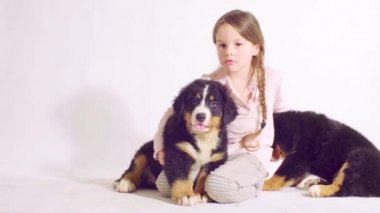 Kız ve bernese çoban köpeğinin iki kukla