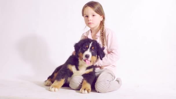 Dziewczyna i szczeniak Berneński pies Owczarek — Wideo stockowe