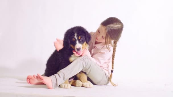 Chica y cachorro de un perro pastor bernés — Vídeo de stock