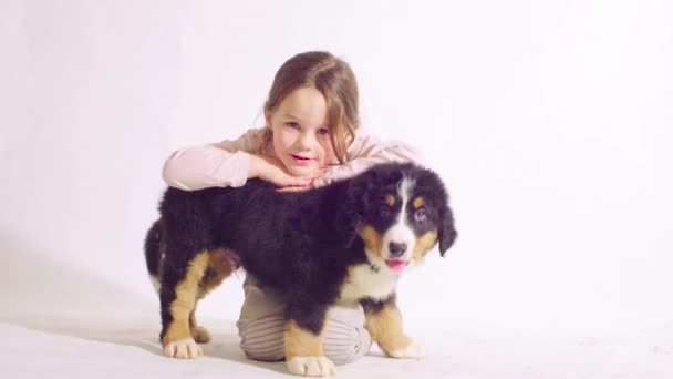 Flicka och valp av en bernese vallhund — Stockvideo