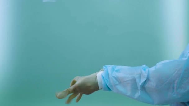 Manos de un médico poniéndose guantes estériles — Vídeo de stock