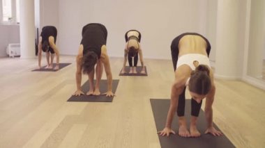 Yoga sınıfı. İnsanlar Yoga uygulamak. Güneşi selamlama