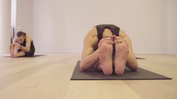 Cours de yoga. Les gens qui font des exercices de yoga — Video