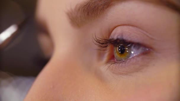The makeup artist correcting the shape of eyebrow — Stock Video