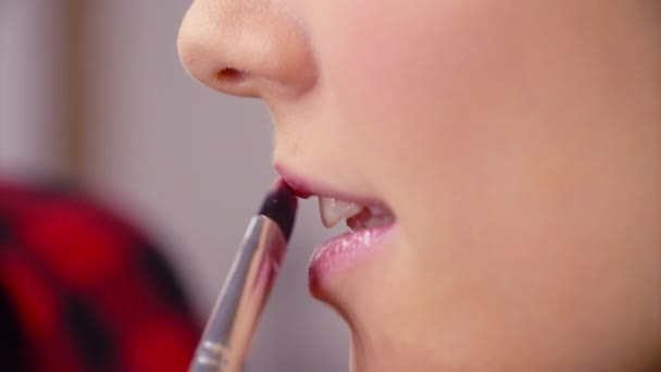 Die Visagistin trägt Lipgloss auf — Stockvideo