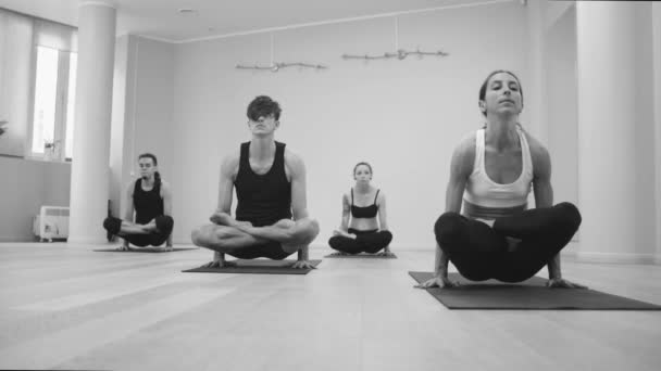 Clase de yoga. Gente haciendo ejercicios de yoga — Vídeos de Stock