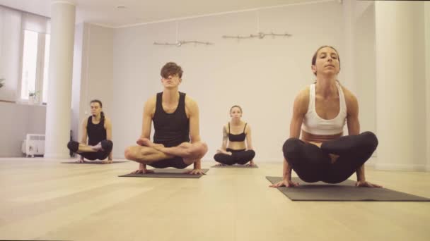 Clase de yoga. Gente haciendo ejercicios de yoga — Vídeos de Stock