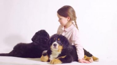 Kız ve bernese çoban köpeğinin iki kukla