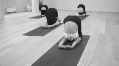 Yoga sınıfı. İnsanlar yoga egzersizleri yapıyor