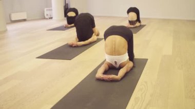 Yoga sınıfı. İnsanlar yoga egzersizleri yapıyor