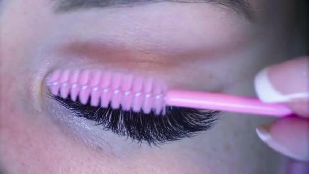 Woman eye. Cosmetologist combing eyelashes — Stock Video