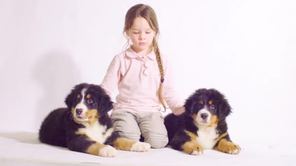 Chica y dos cachorros de un perro pastor bernés — Vídeos de Stock