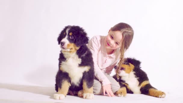 소녀와 베른 양치기 개 두 강아지 — 비디오