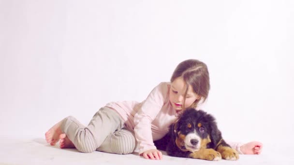 Bernese 牧羊犬的女孩和小狗 — 图库视频影像