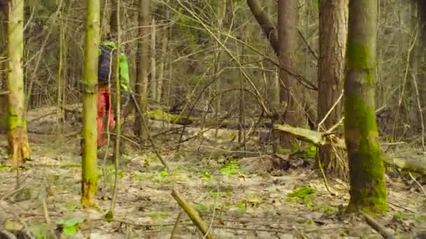 De ecoloog gaan naar de plaats van onderzoek. — Stockvideo