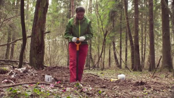 Mujer ecologista en el bosque cavando una hendidura de suelo — Vídeos de Stock