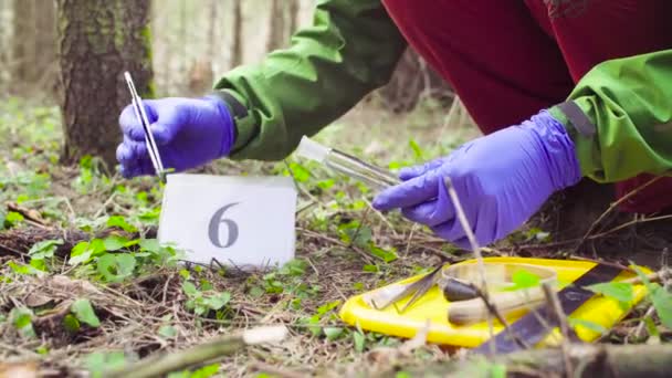 Cientista ecologista na floresta recolhendo amostras de plantas — Vídeo de Stock