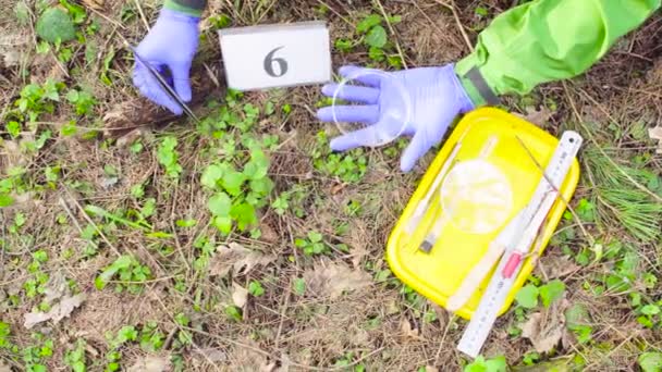 Вчений еколог в лісі бере зразки рослин — стокове відео