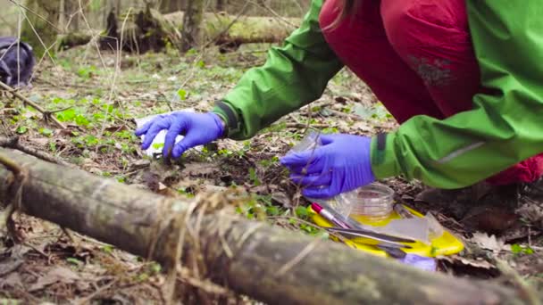 Vetenskapsman ekolog i skogen tar prover på växter — Stockvideo
