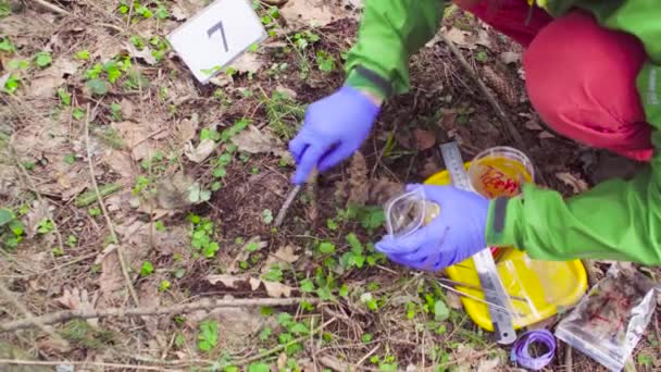Bilim adamı ekolojist toprak örnekleri alarak ormanın içinde — Stok video