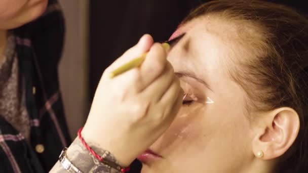 Face art. The make-up artist begining to paint — Stock Video