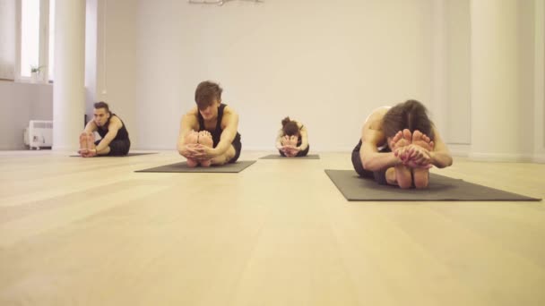 Yoga sınıfı. İnsanlar yoga egzersizleri yapıyor — Stok video