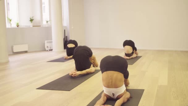 Jógy. Lidé dělají cvičení jógy — Stock video