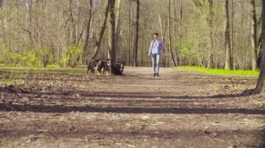 Bernese çoban köpeği kukla ile yürüyen kadın