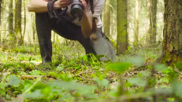 Эколог фотографирует в лесу . — стоковое видео