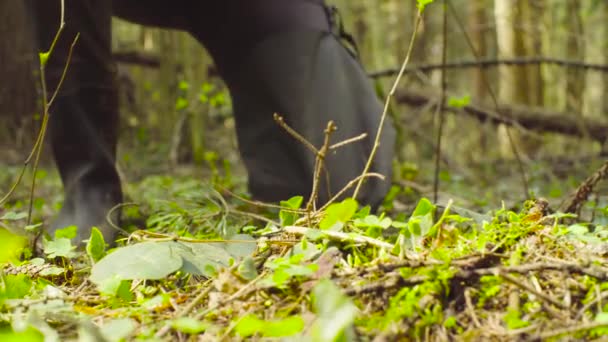 Эколог фотографирует в лесу . — стоковое видео