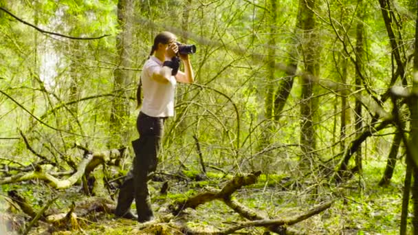 O ecologista fazendo fotos na floresta . — Vídeo de Stock