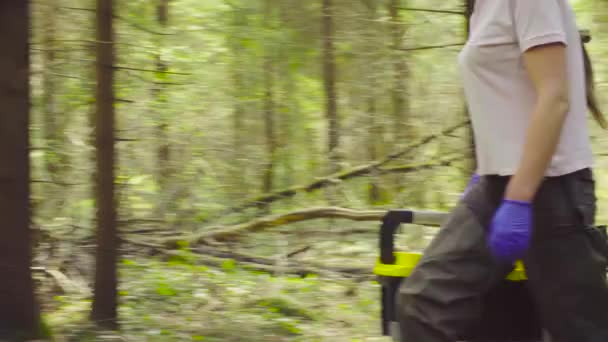 Ecologista científico en el bosque tomando muestras de plantas — Vídeo de stock