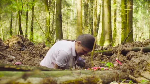 Женщина-эколог в лесу копает грунтовую щель — стоковое видео