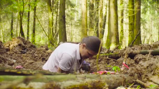 Woman ecologist in the forest digging a soil slit — Stock Video